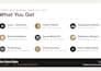 design a brand identity kit with a logo, brand guide, and style kit
